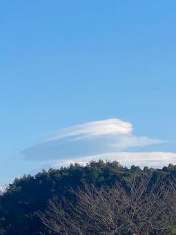 空 雲 木 e2 空 雲 木 e2の写真
