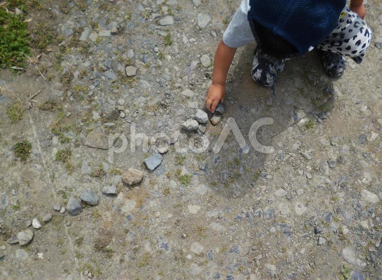 石を並べるのに夢中です ２歳,子供,遊びの写真素材