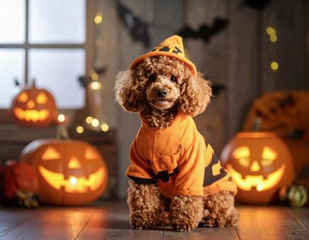 ハロウィンのコスチュームで仮装した犬の写真