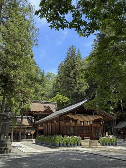 Photo, suwa big society, boss, haruhi palace, 