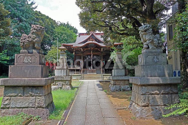 山王日枝神社（大田） 山王日枝神社,別称大森日枝神社,酒井権左衛門の写真素材