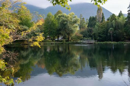 由布院の金鱗湖 由布院,金鱗湖,湯布院の写真素材