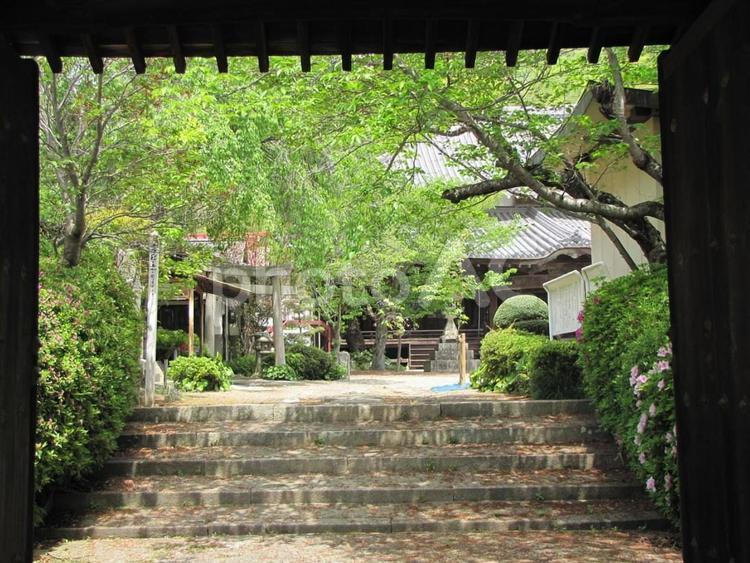 【風景写真】妙正寺(広島県三原市)の風景 妙正寺,日蓮宗,神社仏閣の写真素材