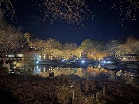 紅葉の夜景 川面,曇り空,反射の写真素材