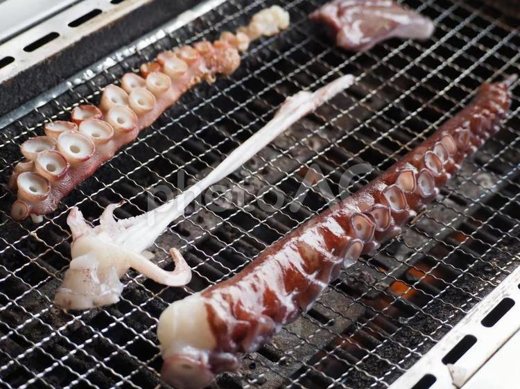 海鮮焼き タコ,蛸,海鮮焼きの写真素材