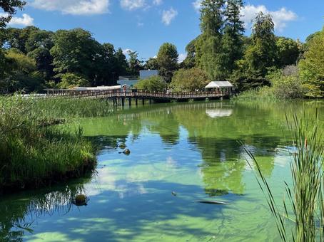 9月の井の頭公園 9月の井の頭公園の写真