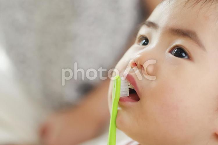 歯ブラシで赤ちゃんの口腔ケアする様子 歯磨き,歯みがき,口腔ケアの写真素材