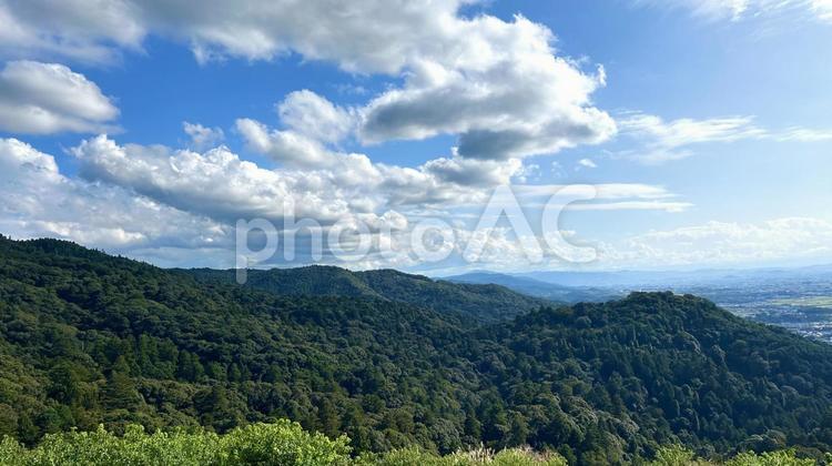 奈良原生林 森林,木,緑の写真素材