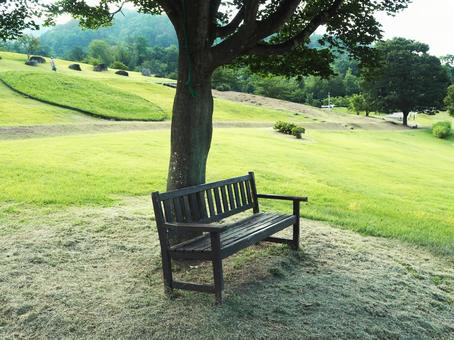 木陰のベンチの写真