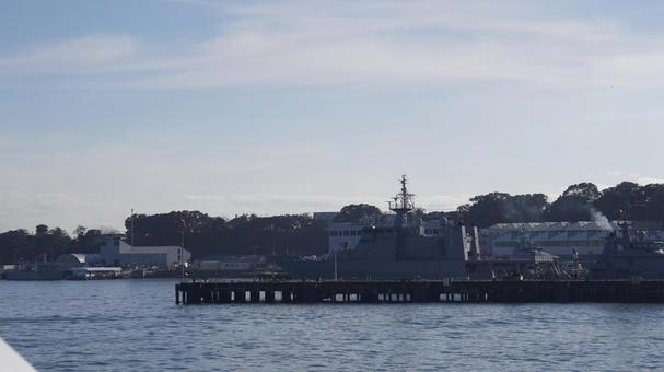 NZ_AUCKLAND NZ_AUCKLANDの写真