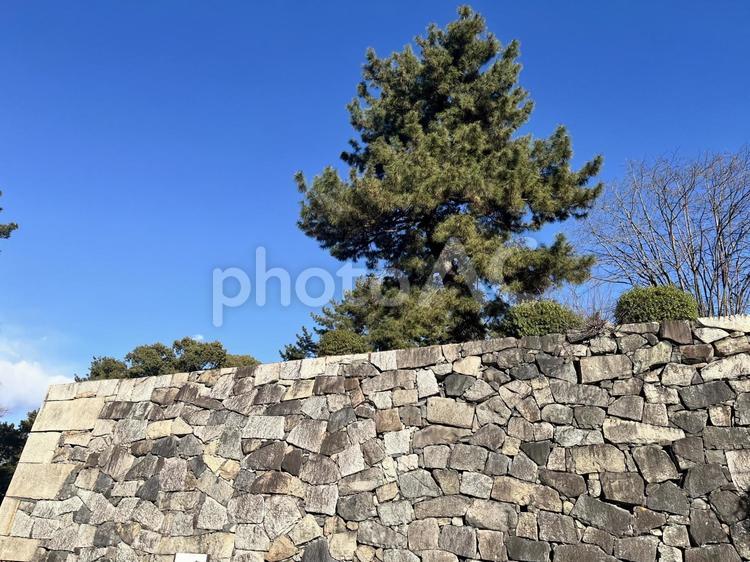 名古屋城の石垣 名古屋城,愛知県名古屋市,石垣の写真素材