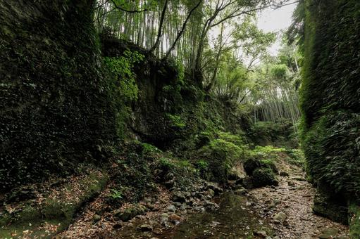高知県安芸市 伊尾木洞 高知県安芸市 伊尾木洞 伊尾木洞,高知県,安芸市の写真素材