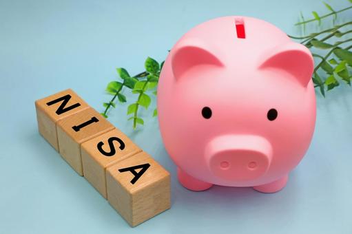 NISAのイメージ nisa,旧nisa,新nisaの写真素材