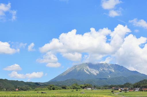 夏の貝田集落 7 夏の貝田集落 7の写真
