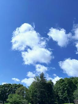 青空 青空の写真