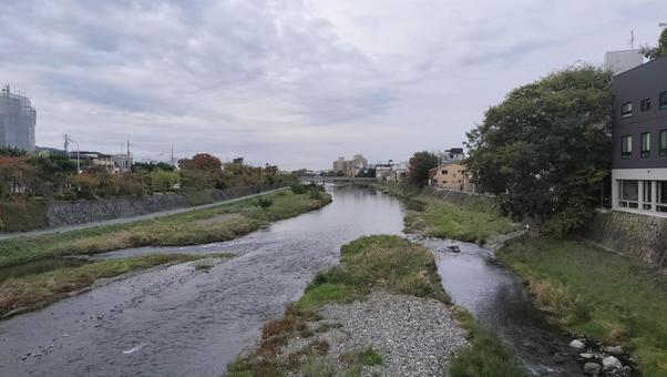 京都 川 京都,川,鴨川の写真素材