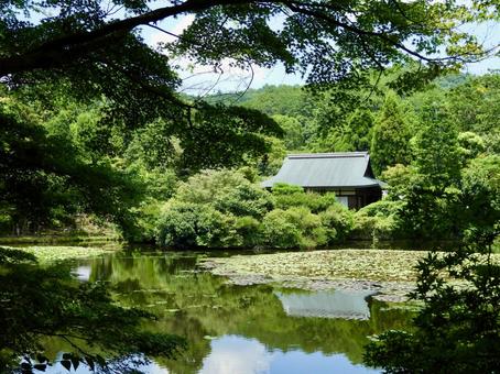 名勝龍安寺庭園の風景 名勝龍安寺庭園の風景 龍安寺庭園,龍安寺,鏡容池の写真素材