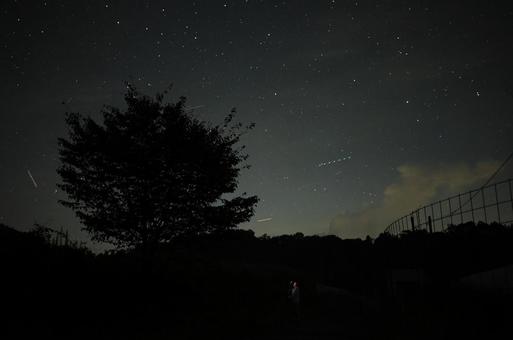 夜空と木々 夜空と木々 星空,夜空,夜の写真素材