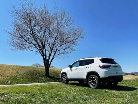 車と青空 車と青空 suv,青空,枯れ木の写真素材