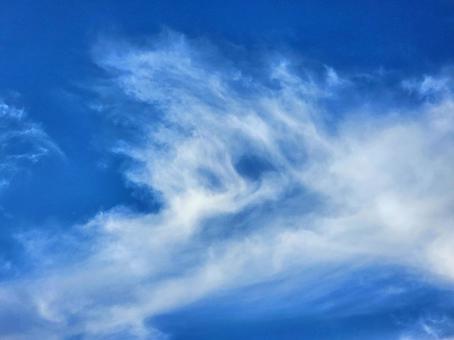 大空に秋雲がの写真