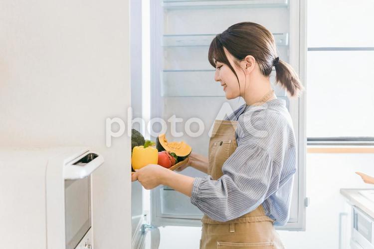 冷蔵庫に野菜を入れる女性（買い物代行） 冷蔵庫,野菜,冷凍庫の写真素材