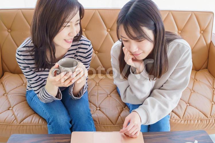 ソファに座ってお茶を飲みながら話す女性 女性,パソコン,ノートパソコンの写真素材