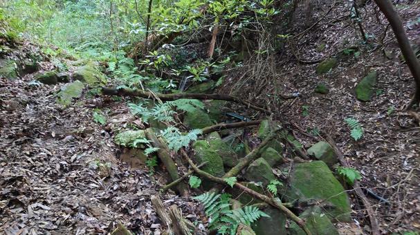 ハイキング道 ハイキング道の写真
