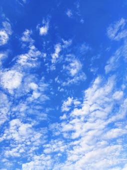 秋空 秋空,秋,オータムの写真素材