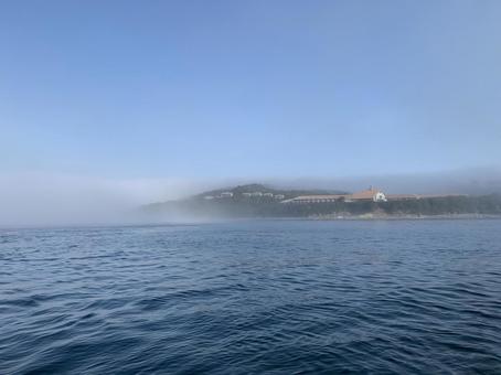 海と霧 海と霧 霧,海,淡路島の写真素材