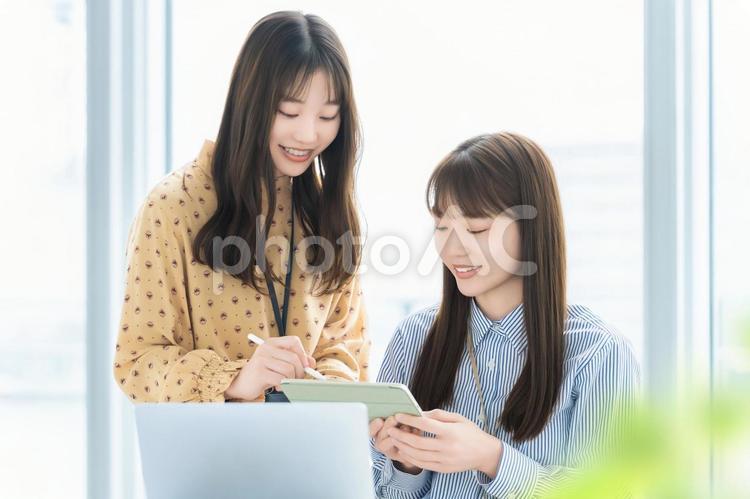 ミーティングをする2人のビジネスウーマン 女性,ビジネス,ミーティングの写真素材