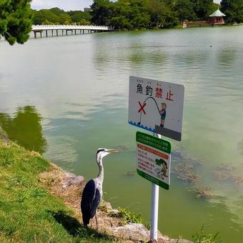 公園 公園 福岡,夏,公園の写真素材