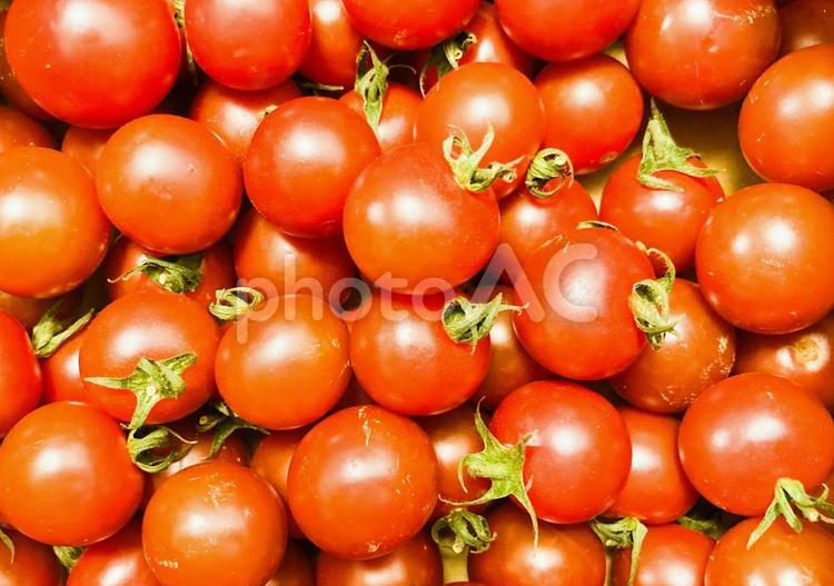 背景素材　夏野菜　ミニトマト ミニトマト,赤,夏野菜の写真素材