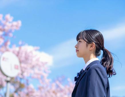 女子高校生 横顔 1 女子高校生 横顔 1の写真