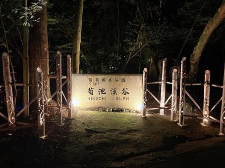 菊池渓谷ライトアップ 菊池渓谷,ライトアップ,秋の写真素材