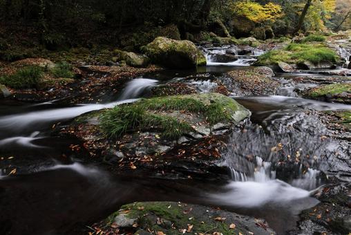 菊池渓谷 菊池渓谷,熊本県,渓流の写真素材