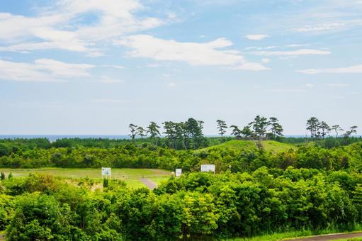 沿岸部の風景(33) 沿岸部の風景(33) 名取市,沿岸部,被災後の写真素材
