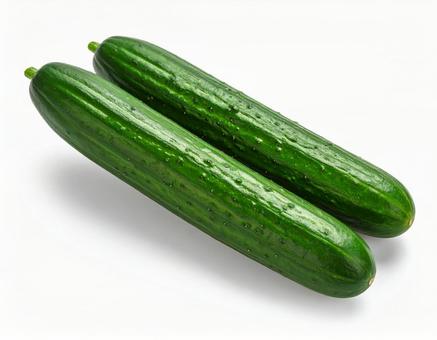 キュウリ 胡瓜 野菜 白背景 夏野菜 キュウリ 胡瓜 野菜 白背景 夏野菜の写真