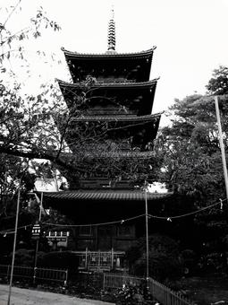 千葉県-法華経寺-五重塔-白黒 法華経寺,寺,正中山の写真素材