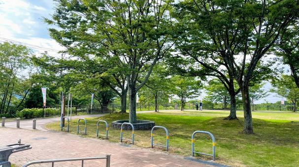 高塔山公園の園内風景 高塔山公園,若松区,北九州の写真素材