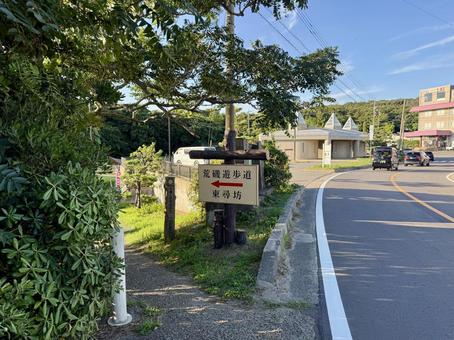 荒磯遊歩道 日本海沿いの雑木林の抜け道 荒磯遊歩道 日本海沿いの雑木林の抜け道 道路,木々,雑草の写真素材