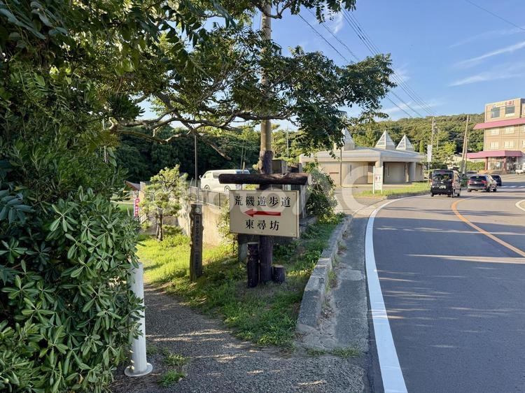 荒磯遊歩道　日本海沿いの雑木林の抜け道 道路,木々,雑草の写真素材