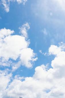 夏空 縦写真 夏空 縦写真 夏空,空,青の写真素材