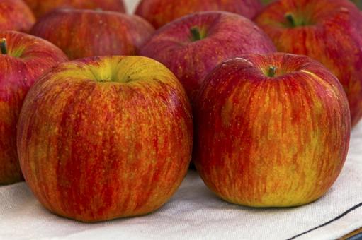 宮田村のリンゴ4 リンゴ,品種,食材の写真素材