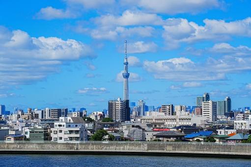 スカイツリーの有る風景 スカイツリーの有る風景 スカイツリー,青空,白い雲の写真素材