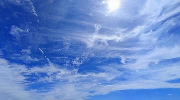 青のキャンバス-80 青のキャンバス-80の写真