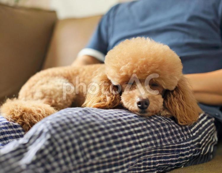 8fae35c5e83d4ffd27f45d3e22708f