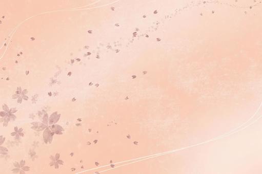 桜 桜の写真