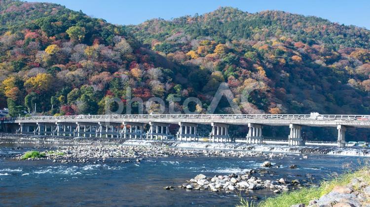 紅葉　１７　(渡月橋と紅葉) 11月,12月,もみじの写真素材