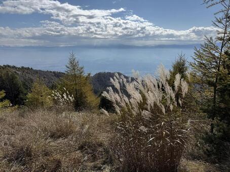 ススキの見える風景 自然,風景,ススキの写真素材