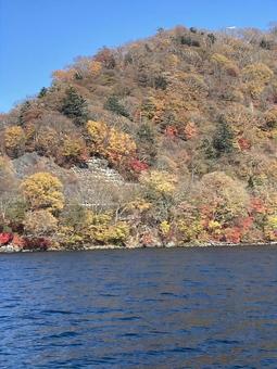紅葉 紅葉の写真
